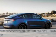 特斯拉model32020年價格,特斯拉多少錢一臺2023款