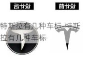 特斯拉有幾種車標-特斯拉有幾種車標