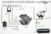 CNG雙燃料汽車系統(tǒng)主要包括-cng雙燃料汽車系統(tǒng)主要包括什么