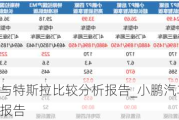 小鵬汽車與特斯拉比較分析報告_小鵬汽車與特斯拉比較分析報告