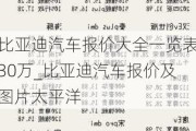 比亞迪汽車報(bào)價(jià)大全一覽表30萬_比亞迪汽車報(bào)價(jià)及圖片太平洋