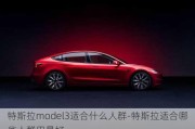 特斯拉model3適合什么人群-特斯拉適合哪些人群用最好