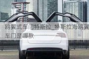 鷗翼式車門特斯拉_特斯拉海鷗翼車門是哪款