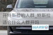 開特斯拉的人群_特斯拉適合什么人群開嗎