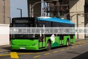 第二批新能源汽車城市-第二大新能源車