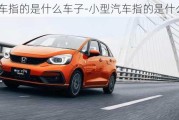 小型汽車指的是什么車子-小型汽車指的是什么車