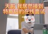 特斯拉面試攻略_特斯拉面試視頻