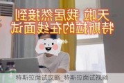 特斯拉面試攻略_特斯拉面試視頻