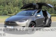 特斯拉越野車多少錢一輛,特斯拉suv30萬左右