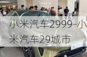 小米汽車2999-小米汽車29城市