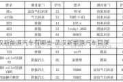 武漢新能源汽車有哪些-武漢新能源汽車目錄