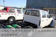 買雙燃料汽車用于家用的多不多呀,買雙燃料汽車用于家用的多不多?