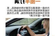 新手汽車方向盤打法_新手方向盤怎么打視頻教程