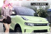 成人電動(dòng)小汽車能上路嗎,成人電動(dòng)小汽車