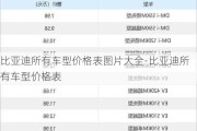 比亞迪所有車型價(jià)格表圖片大全-比亞迪所有車型價(jià)格表