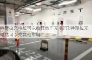 特斯拉充電樁可以給其他車充電嗎?,特斯拉充電站可以充其他車嗎