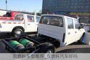 雙燃料車型推薦_雙燃料汽車好嗎