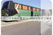 平頂山汽車保有量多少-平頂山有多少輛車