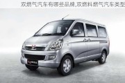 雙燃氣汽車有哪些品牌,雙燃料燃氣汽車類型