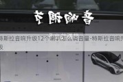 特斯拉音響升級(jí)12個(gè)喇叭怎么調(diào)音量-特斯拉音響升級(jí)