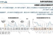 中國汽車自主品牌發(fā)展現(xiàn)狀-中國自主品牌汽車當前的發(fā)展狀況