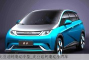 比亞迪純電動小型_比亞迪純電動小汽車