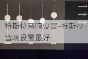 特斯拉音響設(shè)置-特斯拉音響設(shè)置最好