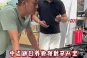 寶馬汽車維修視頻全集-寶馬汽車維修知識