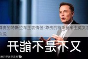 尊貴的特斯拉車主表情包-尊貴的特斯拉車主英文怎么說