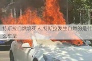 特斯拉自燃燒死人,特斯拉發(fā)生自燃的是什么車型