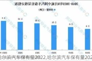 哈爾濱汽車(chē)保有量2022,哈爾濱汽車(chē)保有量2023