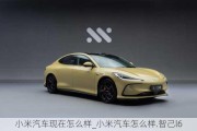 小米汽車現(xiàn)在怎么樣_小米汽車怎么樣.智己l6