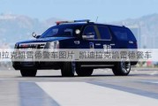 凱迪拉克凱雷德警車圖片_凱迪拉克凱雷德警車