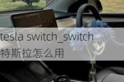 tesla switch_switch特斯拉怎么用