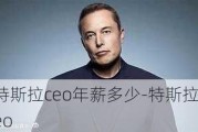 特斯拉ceo年薪多少-特斯拉ceo