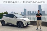 比亞迪汽車怎么了-比亞迪汽車汽車怎樣