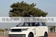 純電動小汽車指標(biāo)-純電動小汽車