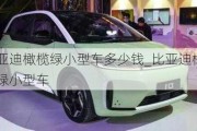 比亞迪橄欖綠小型車多少錢_比亞迪橄欖綠小型車