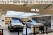 溫州汽車城車輛服務(wù)站電話-溫州汽車城有哪些4s店