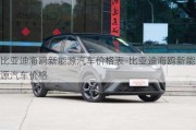 比亞迪海鷗新能源汽車價(jià)格表-比亞迪海鷗新能源汽車價(jià)格