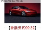 特斯拉model3車輛型號含義_特斯拉model 3 車輛型號在哪里