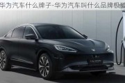 華為汽車什么牌子-華為汽車叫什么品牌極狐