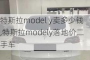 特斯拉model y賣(mài)多少錢(qián),特斯拉modely落地價(jià)二手車(chē)