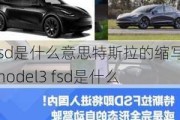 fsd是什么意思特斯拉的縮寫,model3 fsd是什么