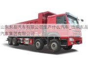 山東東岳汽車有限公司生產(chǎn)什么汽車_山東東岳汽車集團(tuán)有限公司