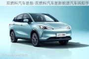 雙燃料汽車是指-雙燃料汽車是新能源汽車嗎知乎