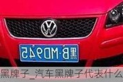 車是黑牌子_汽車黑牌子代表什么意思