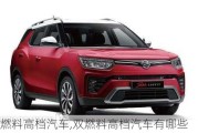 雙燃料高檔汽車,雙燃料高檔汽車有哪些