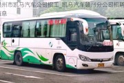 贛州市凱馬汽車公司招工_凱馬汽車贛州分公司招聘信息