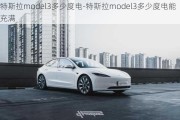 特斯拉model3多少度電-特斯拉model3多少度電能充滿